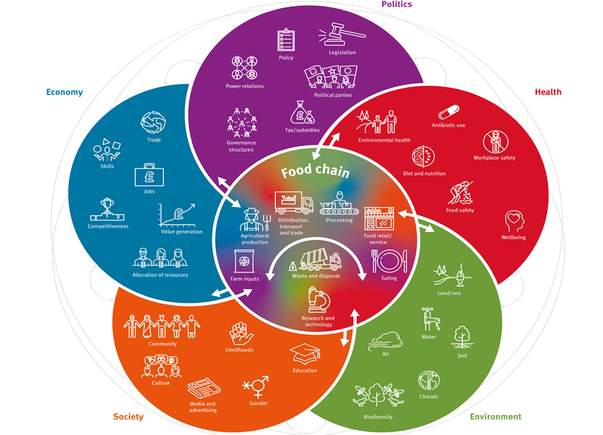 Food System Flower